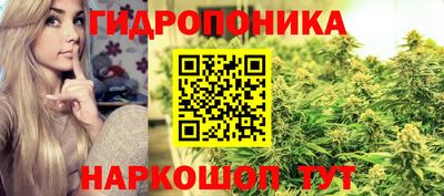 сатива Краснознаменск