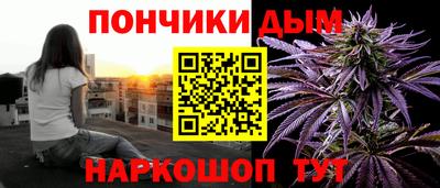 сатива Краснознаменск