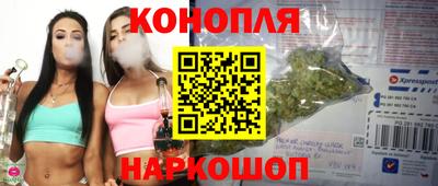 сатива Краснознаменск