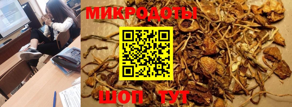 Галлюциногенные грибы MAGIC MUSHROOMS Кисловодск